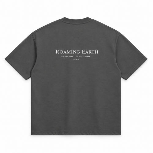 Embroidered Roaming Earth Core Tee